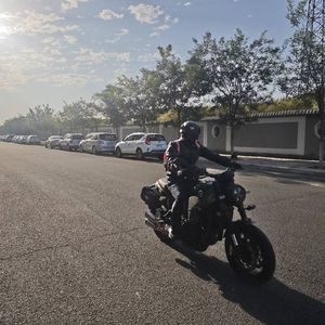 二手贝纳利幼狮 Leoncino 500