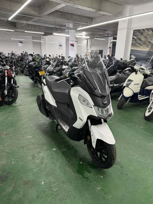 二手三阳Joymax Z 300