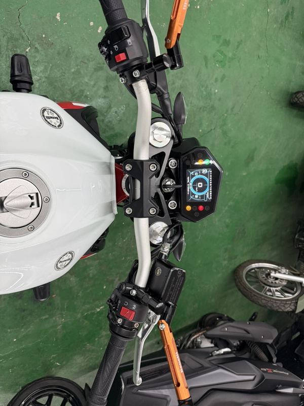 二手贝纳利蓝宝龙 BN302S