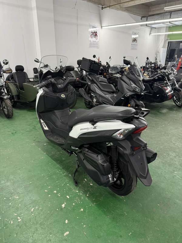 二手三阳Joymax Z 300