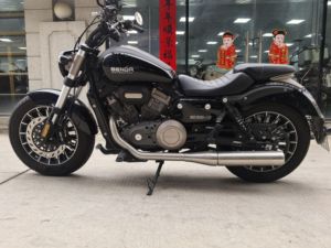 二手奔达Rock300 灰石