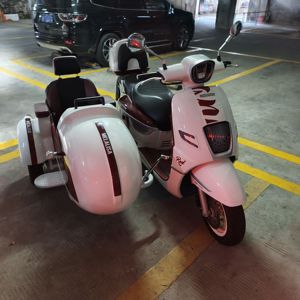 二手南方梦拉丽莎 飞戈边三轮