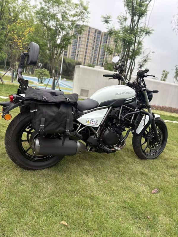 二手川崎Eliminator 500