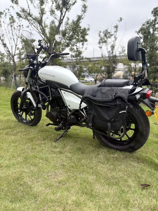 二手川崎Eliminator 500