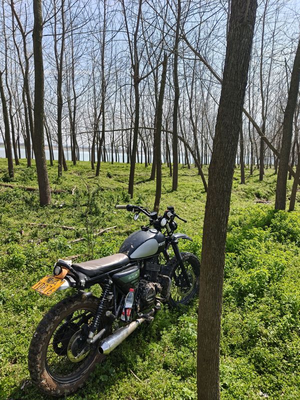 二手轻骑U侠 大脚攀爬者