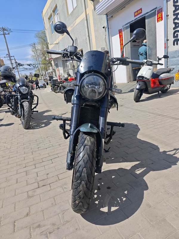 二手贝纳利幼狮 Leoncino 500