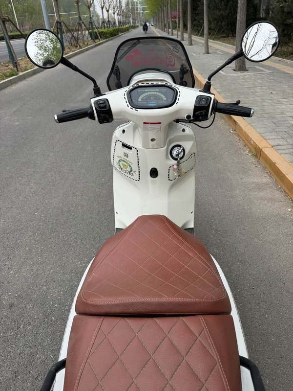 二手维多利亚Sixties 150Si