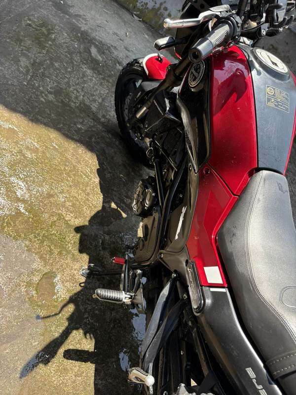 二手贝纳利幼狮 Leoncino 250