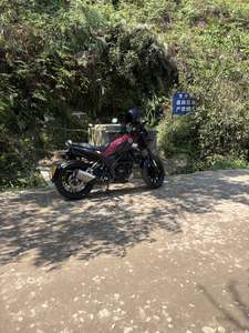 二手贝纳利幼狮 Leoncino 250