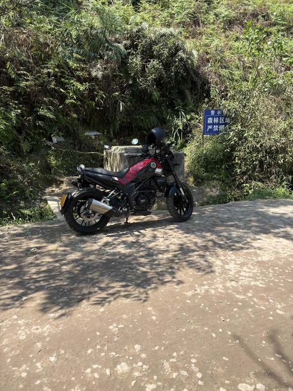 二手贝纳利幼狮 Leoncino 250