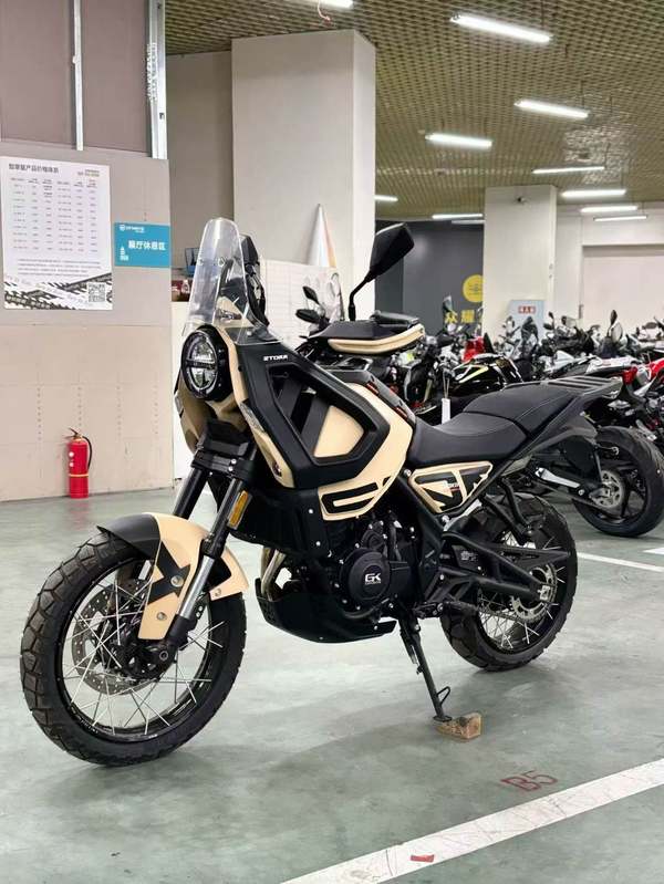 二手高金Storr500