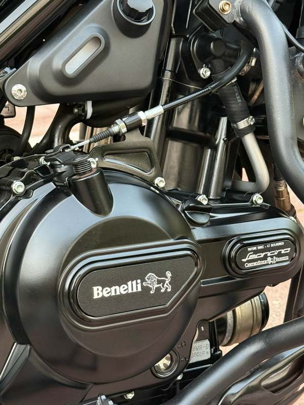 二手贝纳利幼狮 Leoncino 500