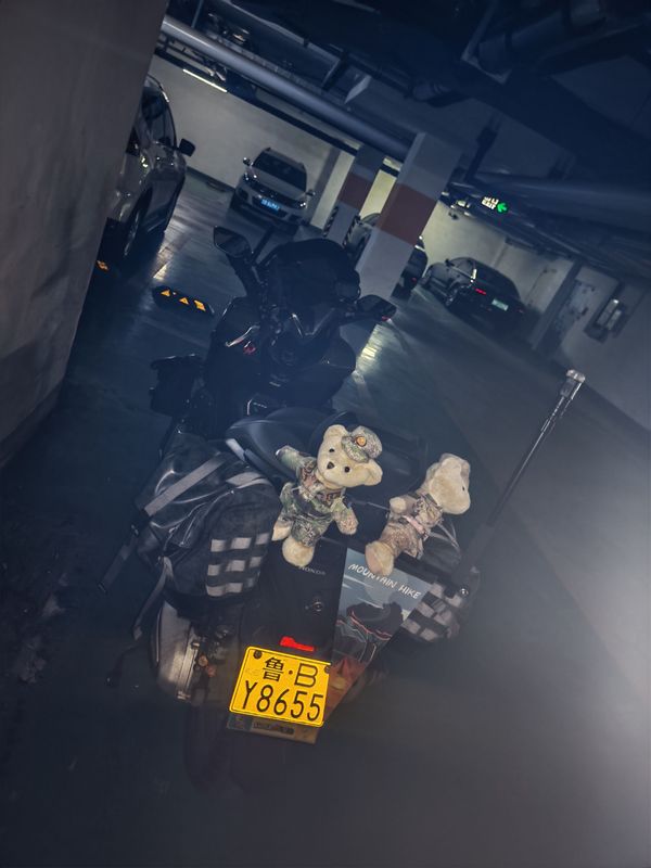 二手本田NSS350(进口)