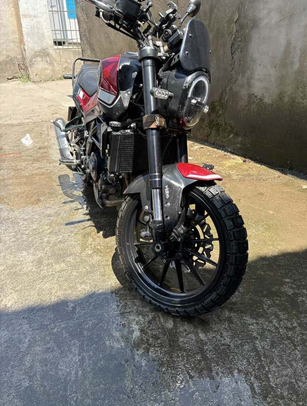 二手贝纳利幼狮 Leoncino 250