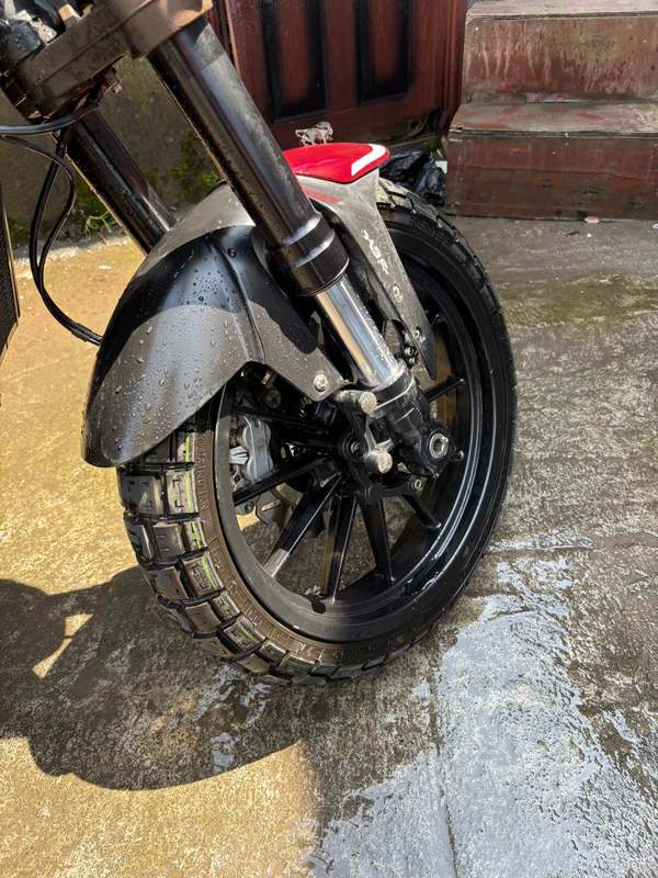 二手贝纳利幼狮 Leoncino 250