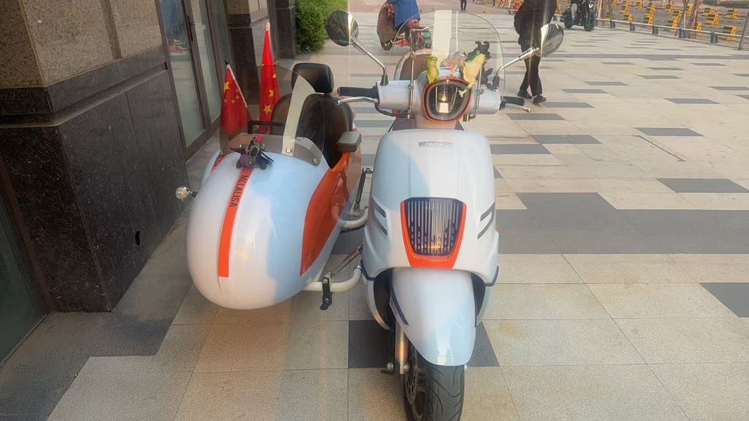 二手南方梦拉丽莎 飞戈边三轮