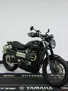 二手凯旋Scrambler 900
