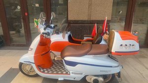 二手南方梦拉丽莎 飞戈边三轮