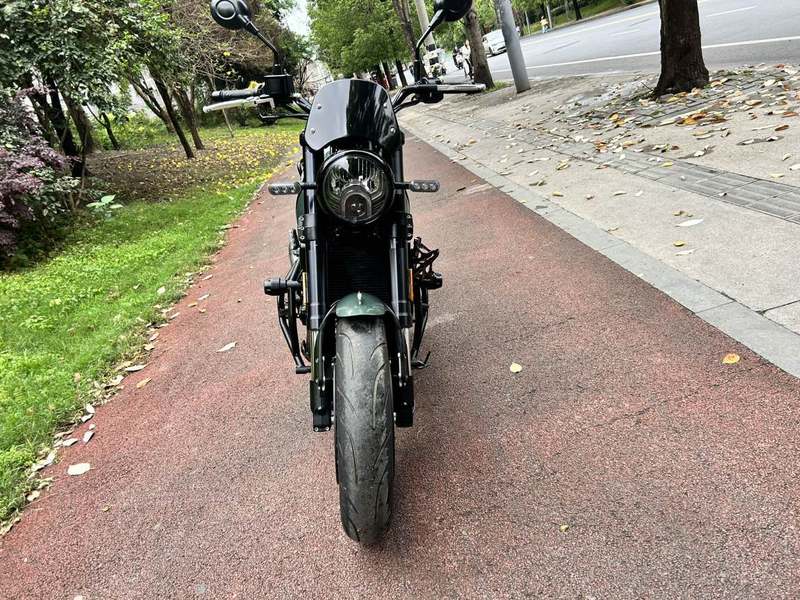 二手贝纳利幼狮 Leoncino 500