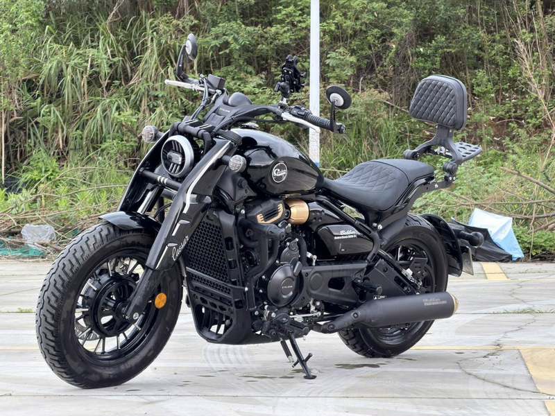 二手赛科龙RA600