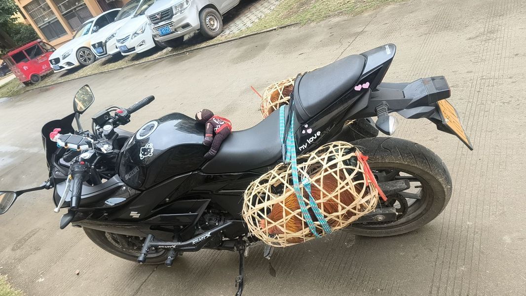 二手豪爵铃木GSX250R