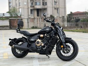 二手赛科龙RA600