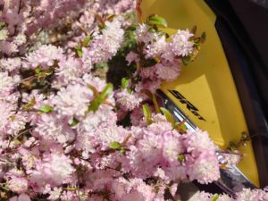 二手阿普利亚SR GT 200