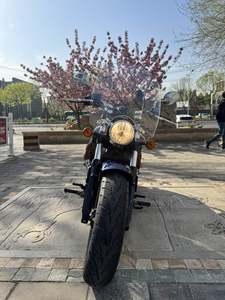 二手印第安侦察兵 Scout 