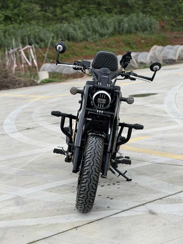 二手赛科龙RA600