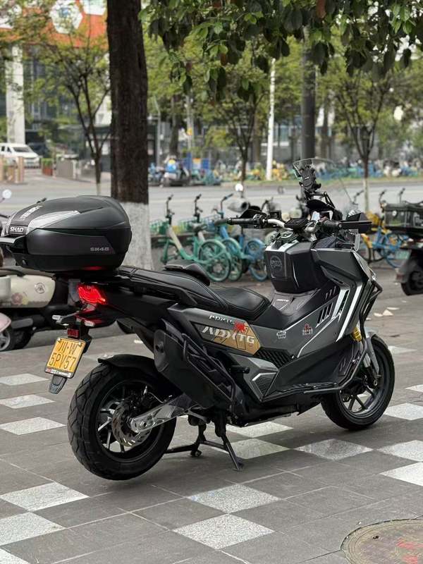 二手三阳剑齿虎 ADXTG