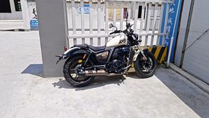 二手赛科龙RA401