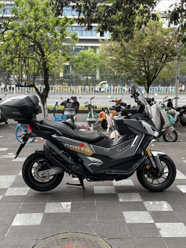 二手三阳剑齿虎 ADXTG