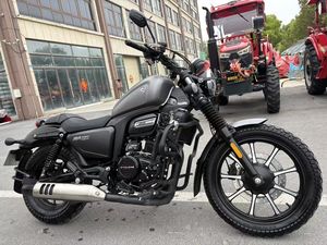 二手赛科龙RA250