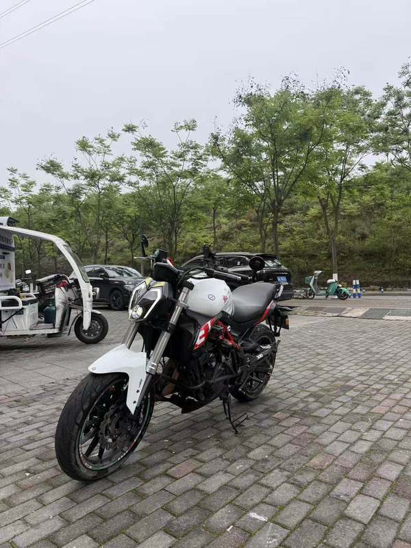 二手贝纳利蓝宝龙 BN302S