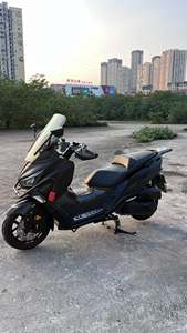 二手三阳Joymax Z 300