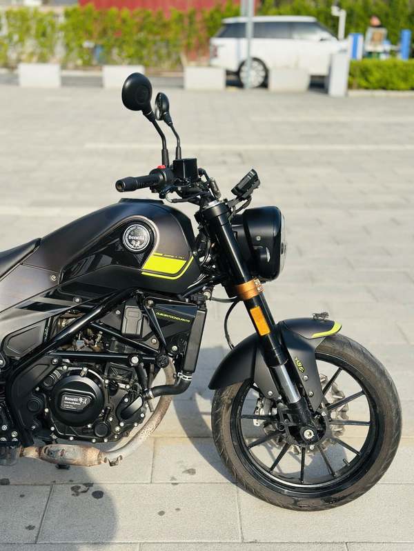 二手贝纳利幼狮 Leoncino 250