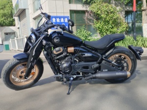 二手赛科龙RA600