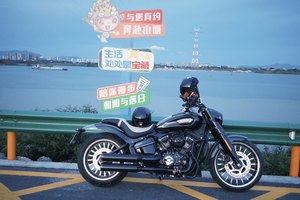 二手香帅YES 软尾