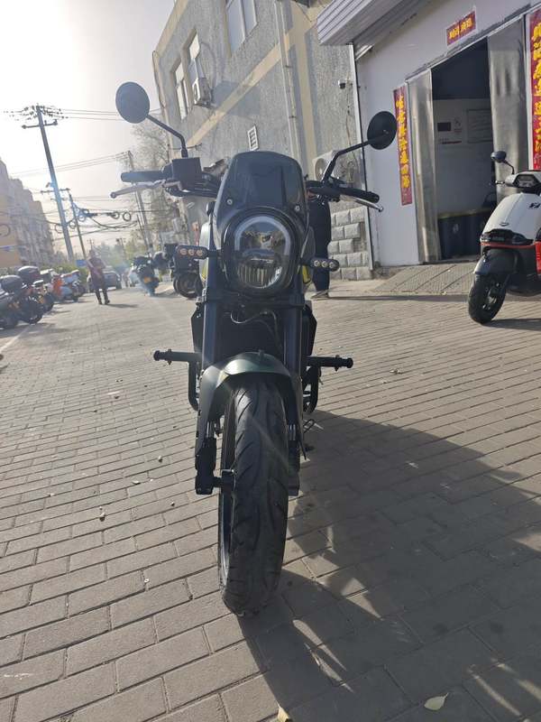 二手贝纳利幼狮 Leoncino 250