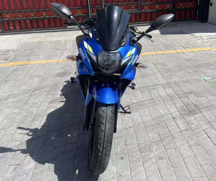 二手豪爵铃木GSX250R