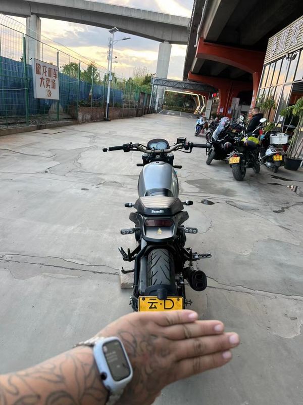 二手贝纳利幼狮 Leoncino 500