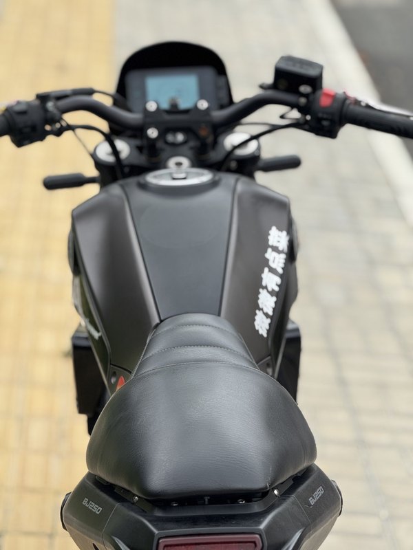 二手贝纳利幼狮 Leoncino 250