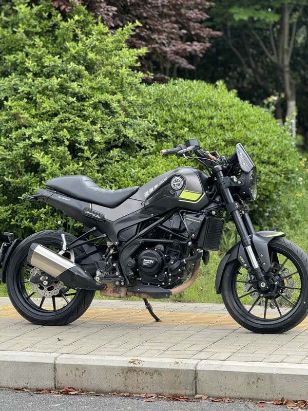 二手贝纳利幼狮 Leoncino 250