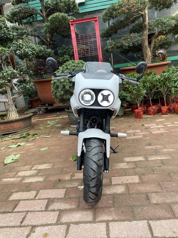 二手春风XO狒狒