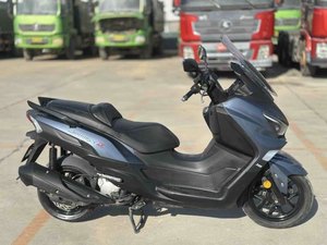 二手三阳Joymax Z 300