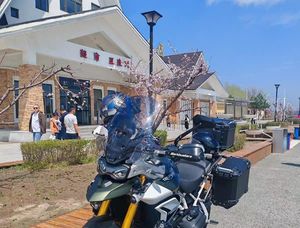 二手凯旋Tiger 900