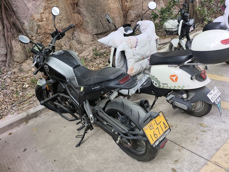 二手贝纳利幼狮 Leoncino 250