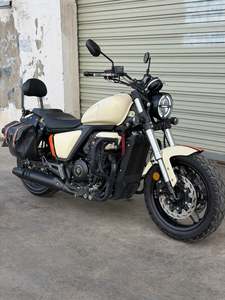 二手赛科龙RA401