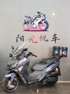 二手三阳Joymax Z 300