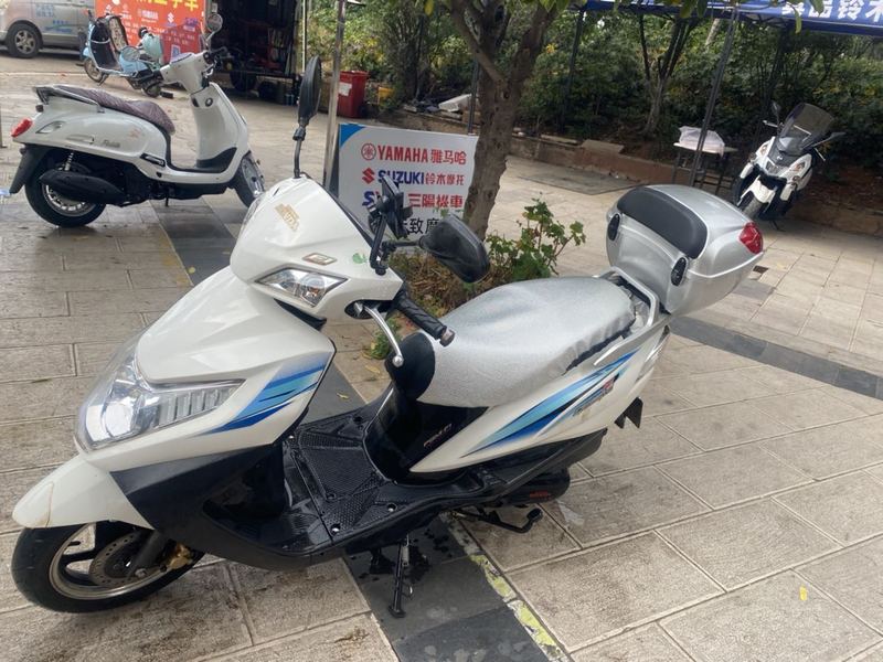 二手五羊本田Cruising 御鲨125